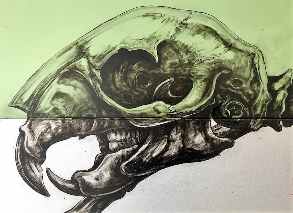 Roa, « Histoire naturelle »,&nbsp;l’exposition.