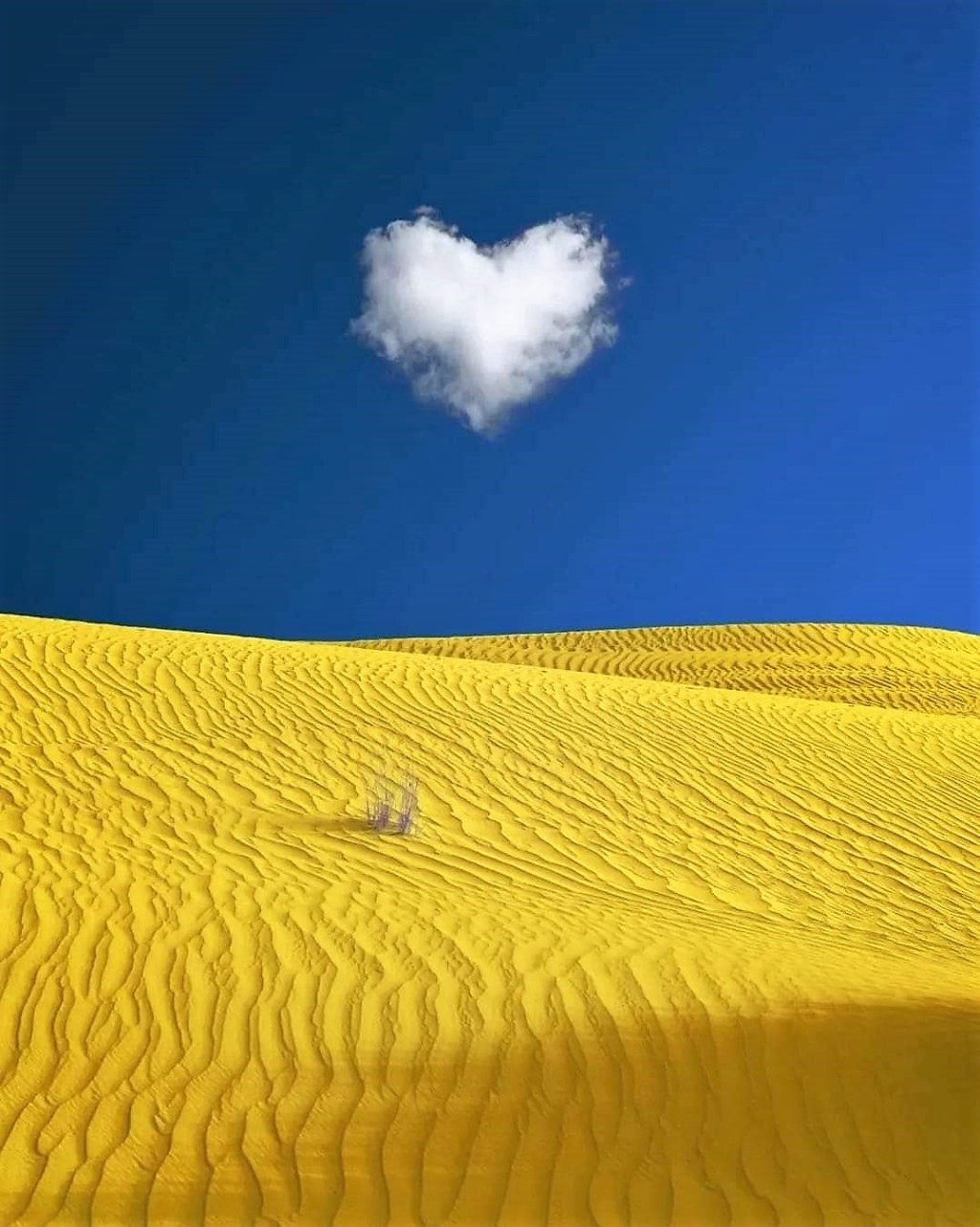 Ukraine, les couleurs de la liberté.